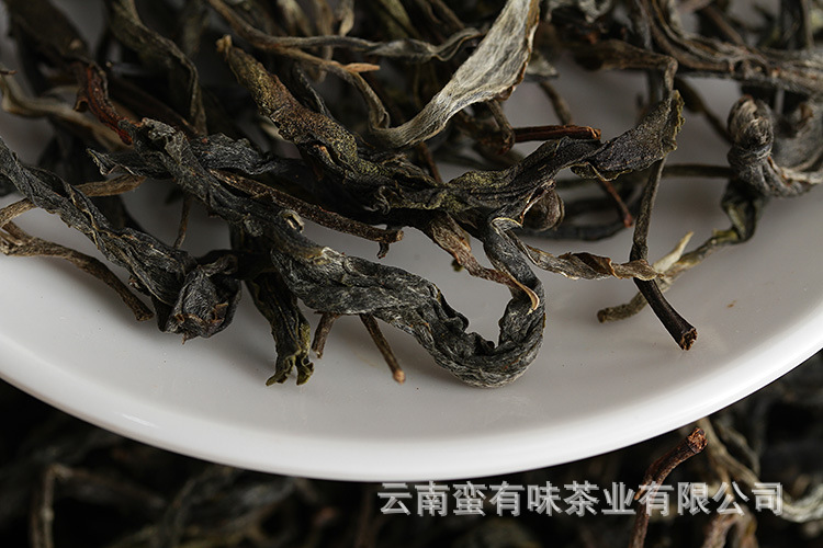 IMG_5692.JPG
