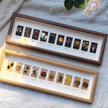 多宫格贝壳标本相框小照片中空摆台手工DIY立体卡纸装饰摆件相框