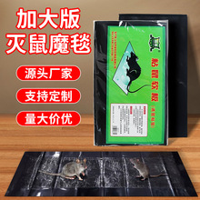 ���������Nճ����zճ�������������������������ħ̺���S���x