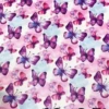 Butterfly C elastic thumbnail