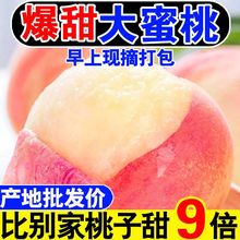 新鲜现摘脆毛桃孕妇当季水果桃子正宗水蜜桃新鲜大果批发