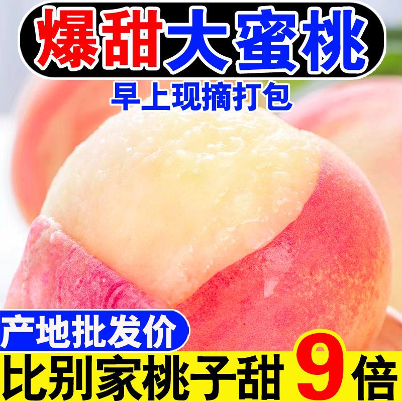 新鲜现摘脆毛桃孕妇当季水果桃子正宗水蜜桃新鲜大果批发
