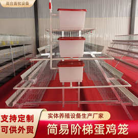 镀锌蛋鸡笼三层四层阶梯式蛋鸡笼农场养自带水箱鸡蛋鸡笼养殖设备