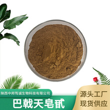 巴戟天皂甙 80% 巴戟天粉 巴戟天提取物 巴戟天多糖 现货供应