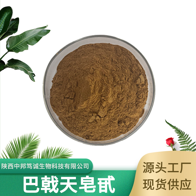 巴戟天皂甙 80% 巴戟天粉 巴戟天提取物 巴戟天多糖 现货供应