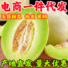 冰淇淋玉菇甜瓜9斤新鲜海南水果当季整箱包邮小香瓜脆蜜瓜哈5密瓜