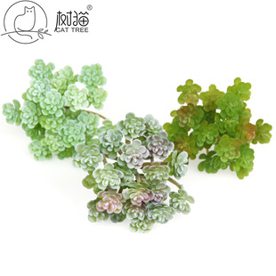 ��؈�������ֲ��24�^�����w���z���������ԾGֲ�҃��b���[��