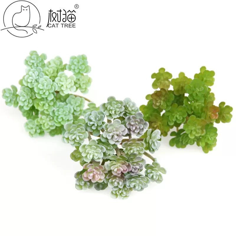 树猫仿真多肉植物24头仙人颗塑胶花迷你盆栽绿植室内装饰多肉摆件