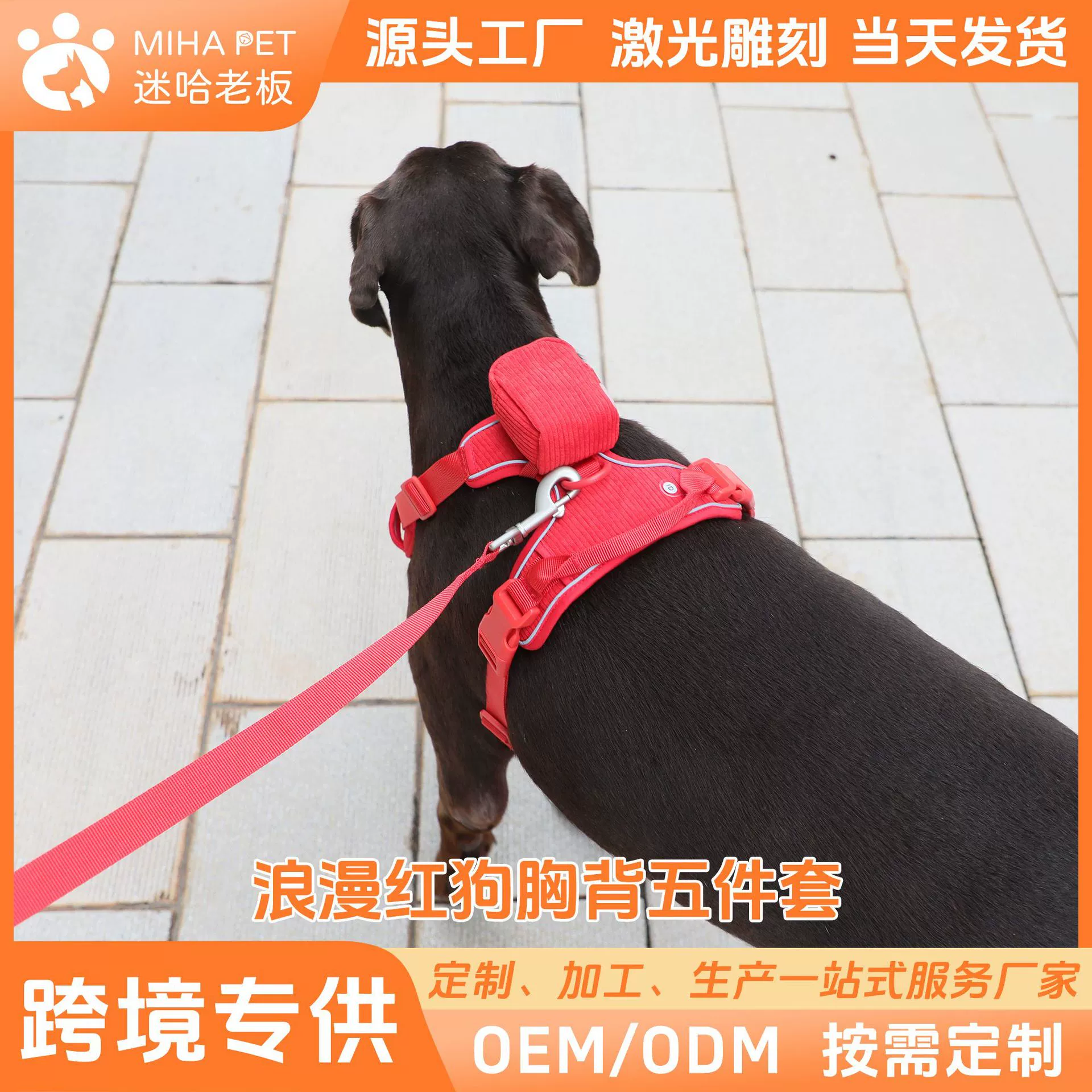 Новый трансграничный горячий продавать вельвет Собака веревка товары для собак Прогулка Собака веревка ремень Костюм ошейник