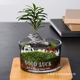 ����ֲ������Gֲ˽�˲�ƺ̦�\�[���k���ҳ�Ʒ���Bƿ