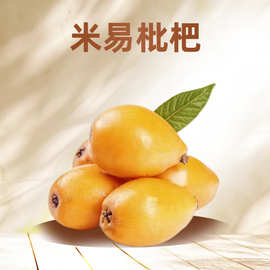现货攀枝花米易枇杷大果甜琵琶琵笆批把3斤新鲜水果当季孕妇水果