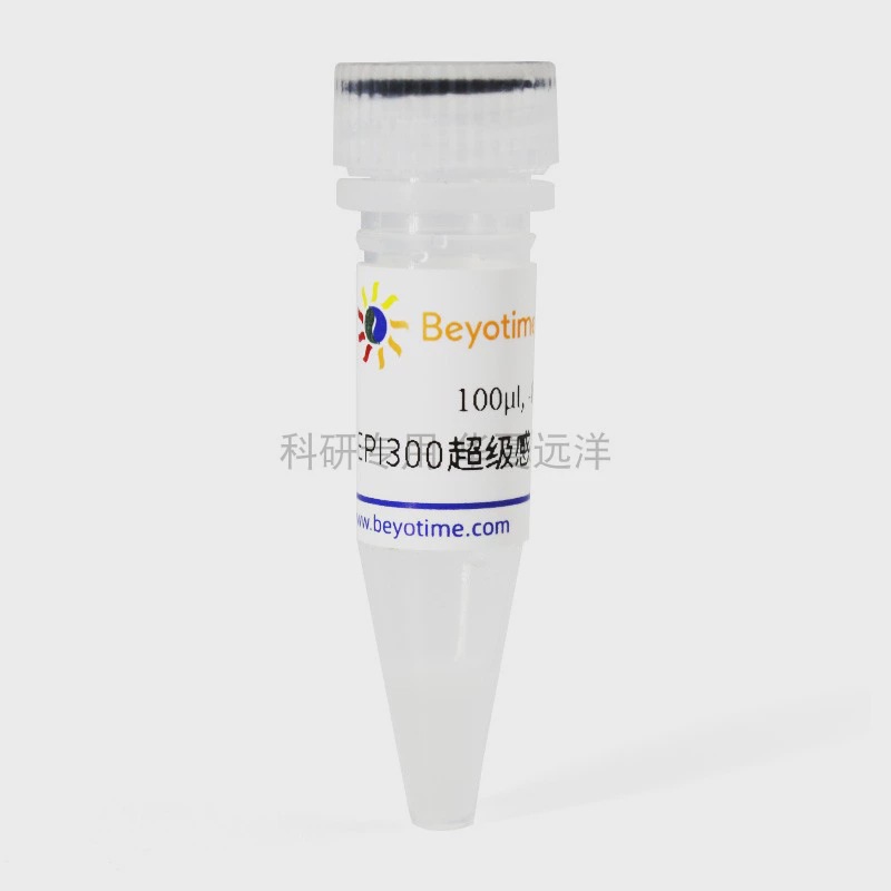 D1035S EPI300超级感受态细胞 10×100μl