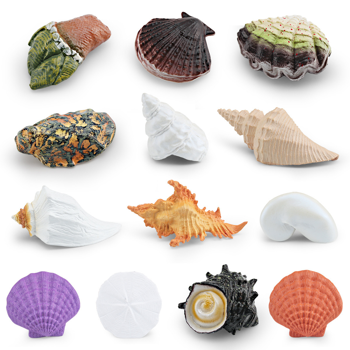 Simulación transfronteriza conchas de flores, caracoles, caracoles, caracoles, huesos de pies, caracoles, ostras, modelo de vida marina, conchas, adornos estáticos