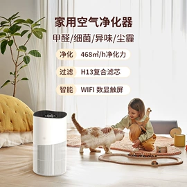 空气净化器;空气净化配件