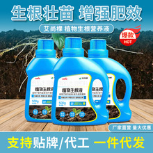 批发艾尚棵植物生根液生根壮苗营养液发根剂园艺花肥料绿植通用型