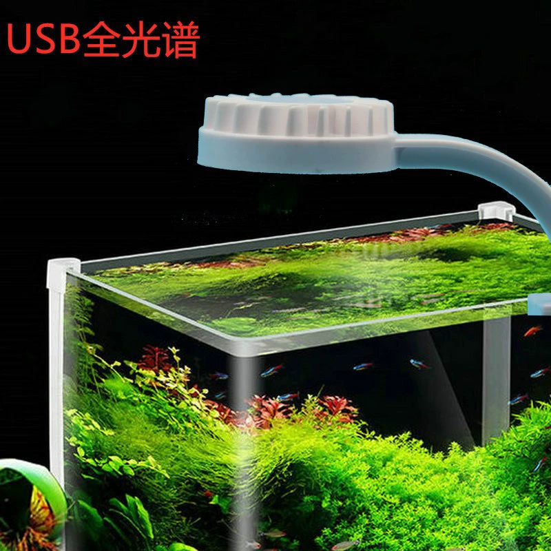 Маленький аквариум лампа водяная трава лампа морской резервуар лампа мини-резервуар для травы лампа ведро аквариум USB Коралловая Светодиодная лампа микро аквариум Клип лампа