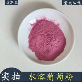 水溶葡萄粉 葡萄提取物 固体饮料 压片糖果原料 葡萄果粉 样品免