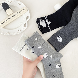 �n���m��Ů�ɐۿ�ͨС�d��������Ͳ�m��Ů����WԺ�L������Ͳ�m