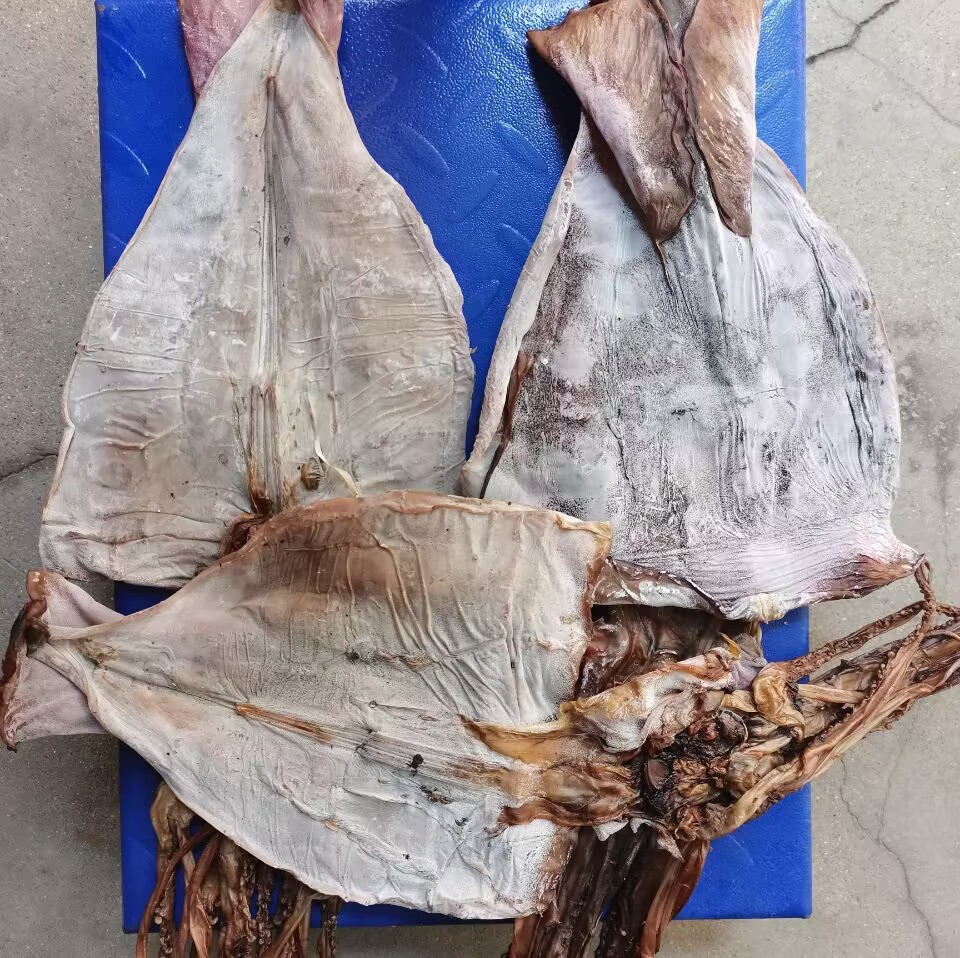 QQ图片20230627130418