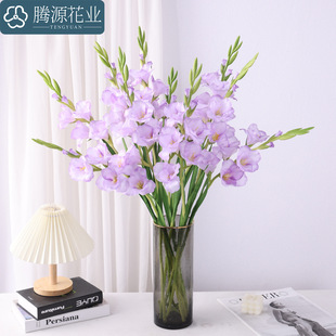 ���滨 �����m ���W��c�����Ҿӿ͏d�Ƶ깤��ܛ�b��̼ٻ�