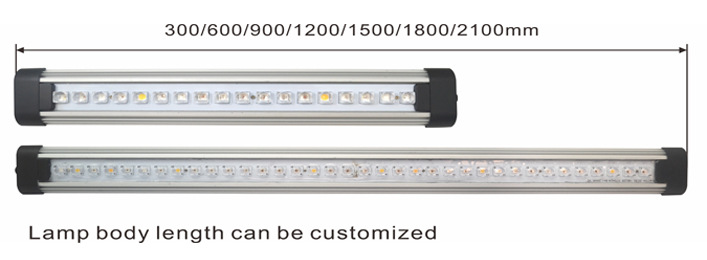 LEDȫˮģչͲˮݵϪ쾰