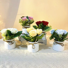 ����ѩ��õ�����K�����Y�辰���W�L�Ҿ�������滨�GֲС���Ԕ[��