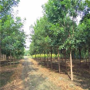 ���ͽ��~��Ϟ�L�������е���ϞС���Ϟ���L����WZXͥԺ�G����Ϟ