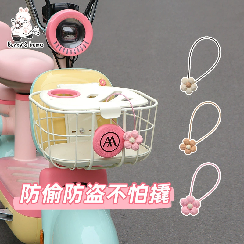 Блокировка пароля корзины электромобиля