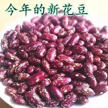 2024F¶Fݼttܿ]؛ļ