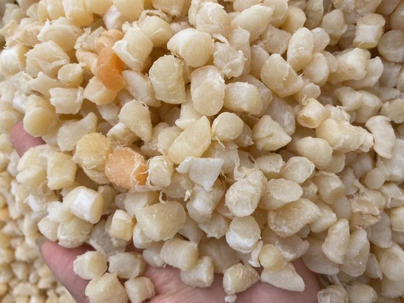 乾燥貝瑶柱元貝ホタテ貝丁250g非淡々と海鮮水産干物卸売り|undefined