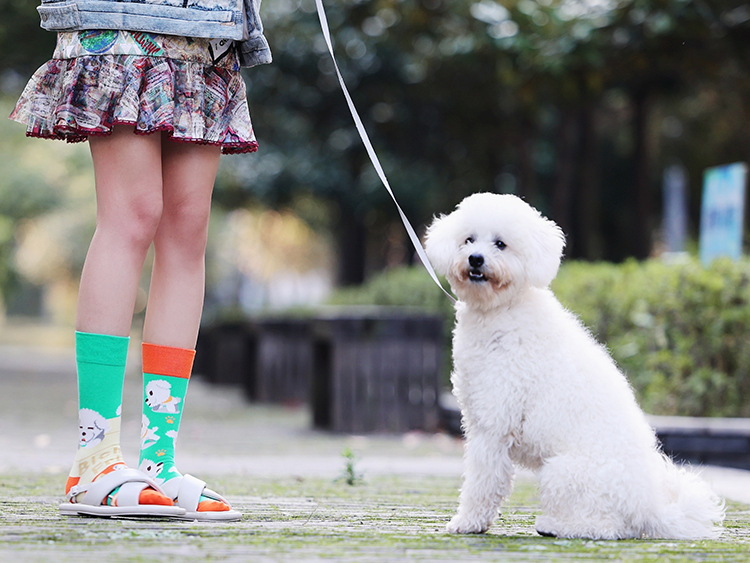 微信图片_20211025131549