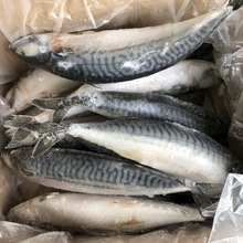 ԭ�l�T�~Ų���໨�~���þƵ�����������l������r�S��ֱ��