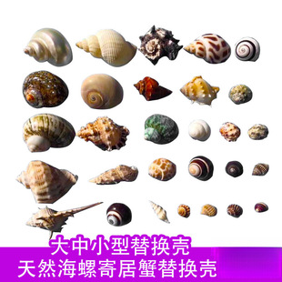 ��Ȼؐ�����ݼľ�з��Q�����Ú����~ؐ�~��ˮ��[���b�Ʒ��