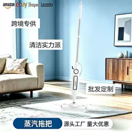 蒸汽拖把;家用吸尘器;蒸汽清洁机