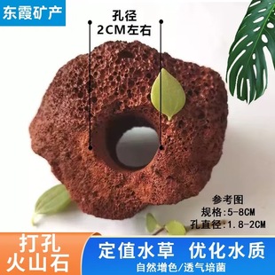 Volcanic Stone Planting Rings Direct from the Manufacturer, Aquatic Plant Fixing Base, Landscaping Stone, Decorative Volcanic Stone with Holes for Aquatic Plants