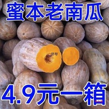 红土新鲜云南蜜本老南瓜农家自种宝宝辅食软糯面甜品种