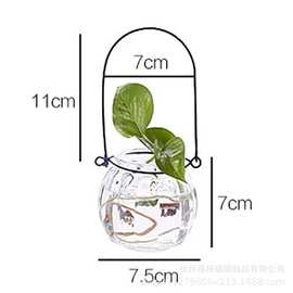 水培绿植物客厅摆件小绿萝风信子透明玻璃花瓶花盆插花卉简约桌面