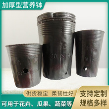 塑料育苗杯PE塑料再生颗粒营养钵园艺花卉厂家批发现货有手工制作