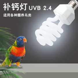 鹦鹉UVB灯鸟类小鸟补钙灯UVB 2.4% 20W紫外线螺旋灯管E27宠物灯泡