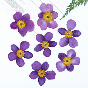 Ұ�޻������ɻ�ֲ��˱��滨���z�֙C��̨���N���沿�b�ͯ����