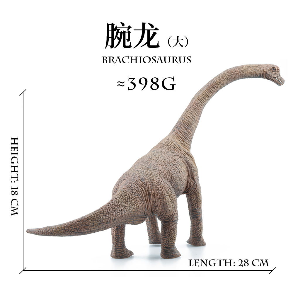 Large brachiosaurus【≈398g】