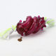 New dog bite leakage toy molar bite-resistant tpr material big Wei long interactive food leakage pet toy