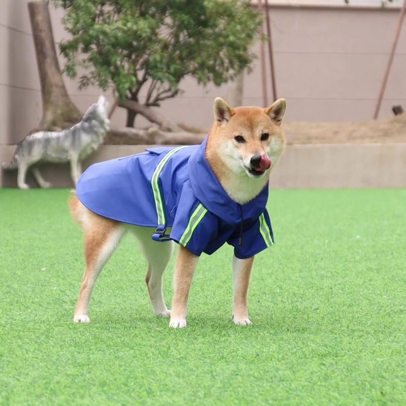 大狗雨衣斗篷式反光条雨披防风防雨狗狗连帽雨衣大中型犬雨衣跨境|undefined