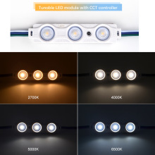 �¿�12V�V���b���12V���l���{ɫ�pɫ��2700K+6500K LED�V��ģ�M