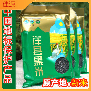 ��������h���خa��h���� �����������Ѫ�ڴּZ�s�Z��1��