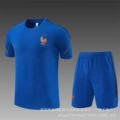 2627 french cailan training set