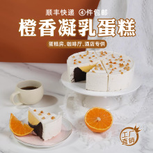 橙香凝乳蛋糕约翰丹尼动物奶油小甜点下午茶歇咖啡厅冷冻蛋糕甜品