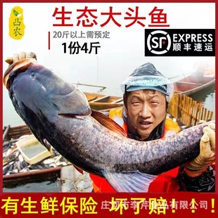 ���ۻ��~8�ﶬ�����^�~���~��ˮ�~�����\���~�Y���b�|��ֱ��