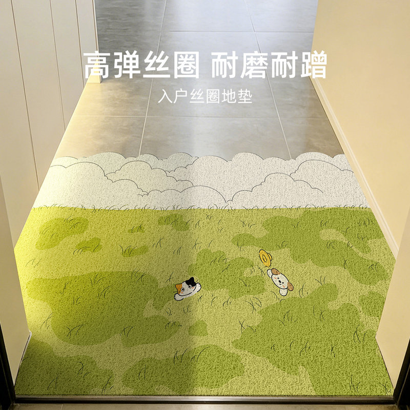 Entrance Door Mat 2026 New Model, Silk Loop Foot Mat for Doorway, Customizable, Dust-Removing, Dirt-Resistant, Indoor Door Carpet