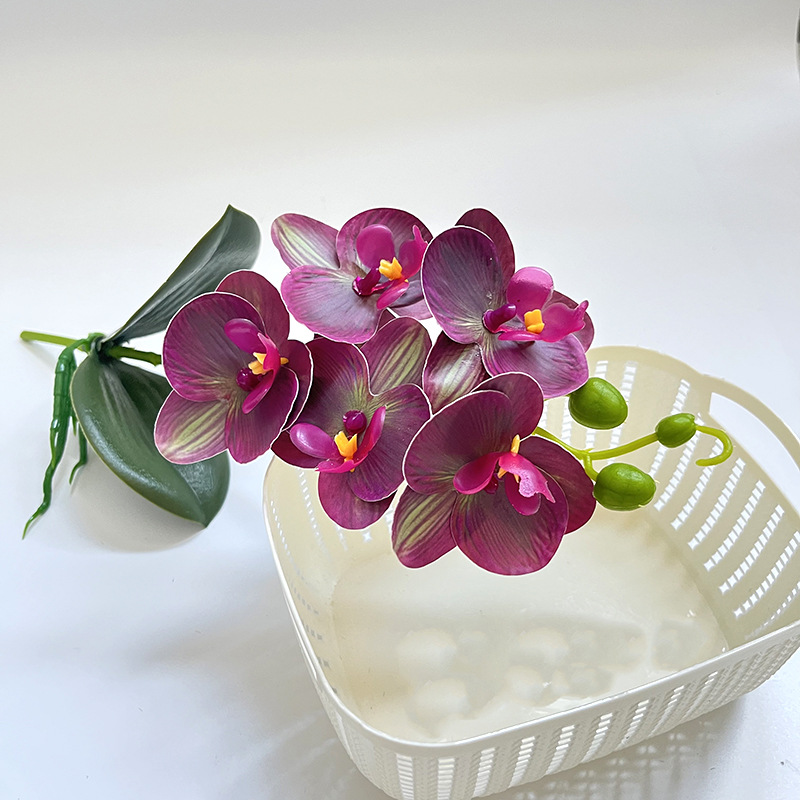 눈썹 보라색 (높이 37*폭 14CM)